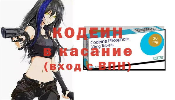 ГАЛЛЮЦИНОГЕННЫЕ ГРИБЫ Арсеньев
