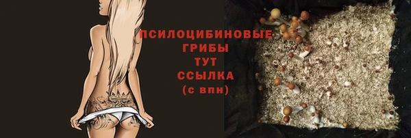 ГАЛЛЮЦИНОГЕННЫЕ ГРИБЫ Арсеньев