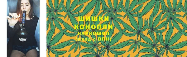 ГАЛЛЮЦИНОГЕННЫЕ ГРИБЫ Арсеньев