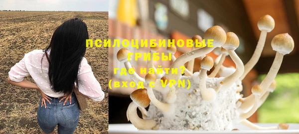 ГАЛЛЮЦИНОГЕННЫЕ ГРИБЫ Арсеньев