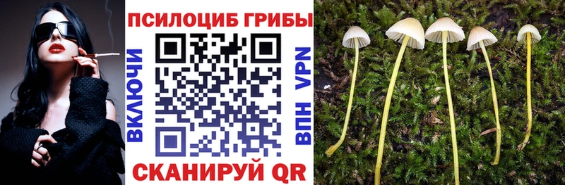 Галлюциногенные грибы Psilocybine cubensis  Рошаль 